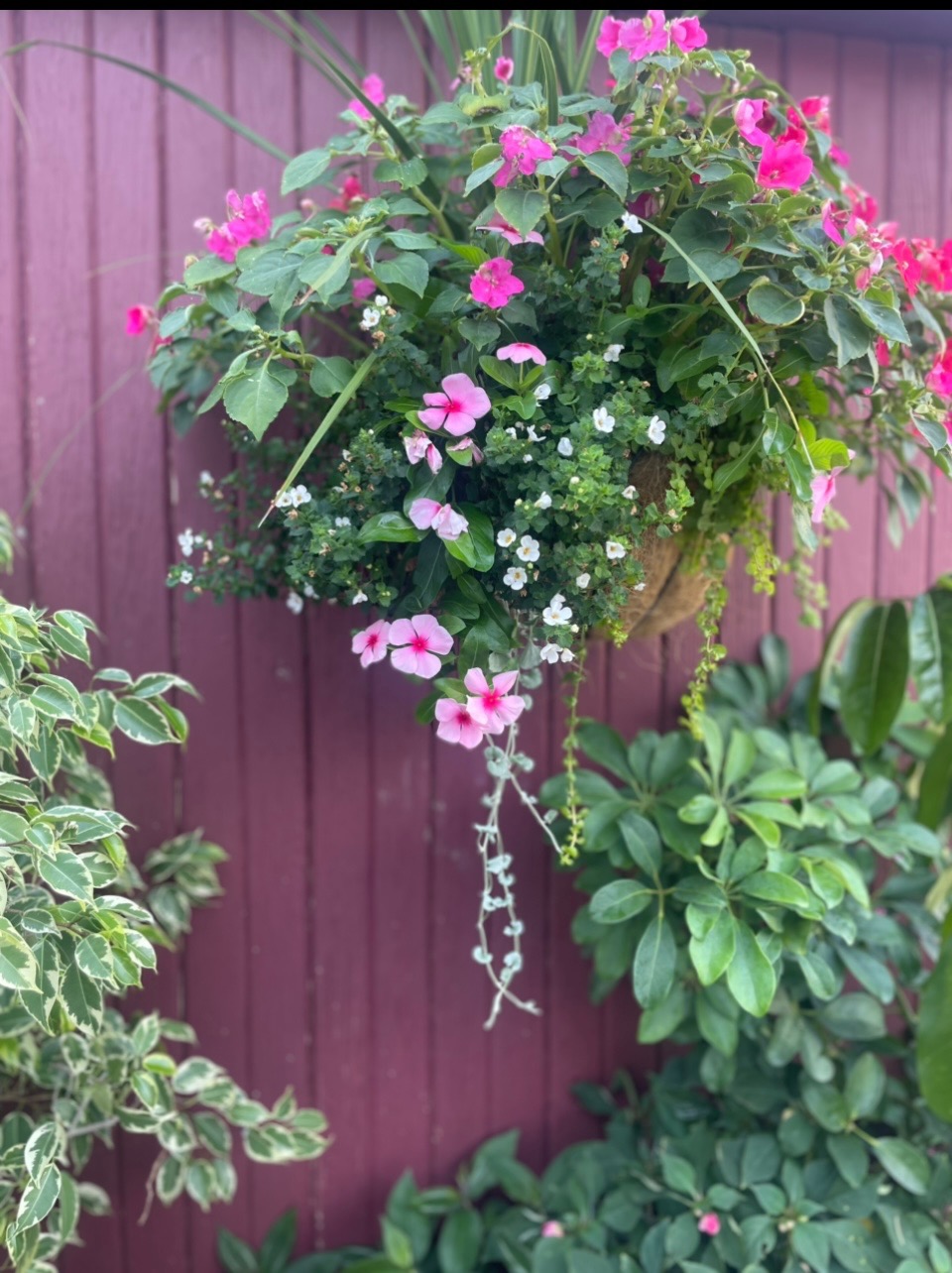 Garden photo